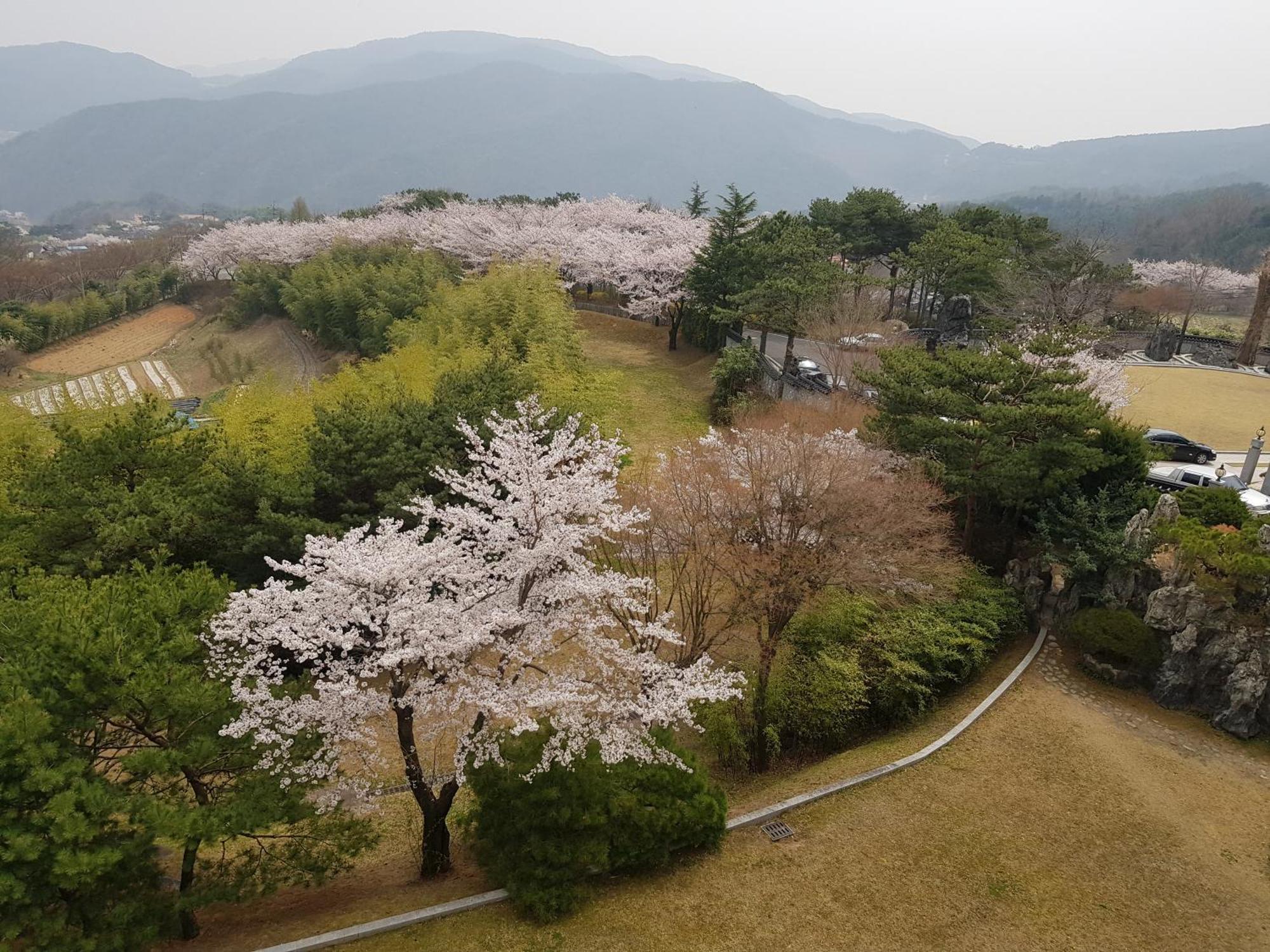 Hotel Gaya Seongju Dış mekan fotoğraf
